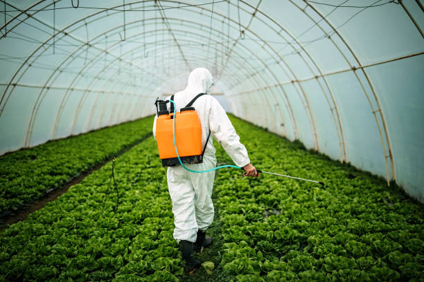 Best Pest Control Near Me  in Centre Grove, NJ