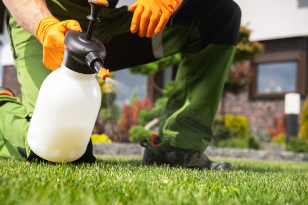 Best Insect Control  in Centre Grove, NJ