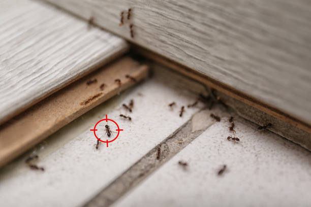 Pest Control for Restaurants in Centre Grove, NJ